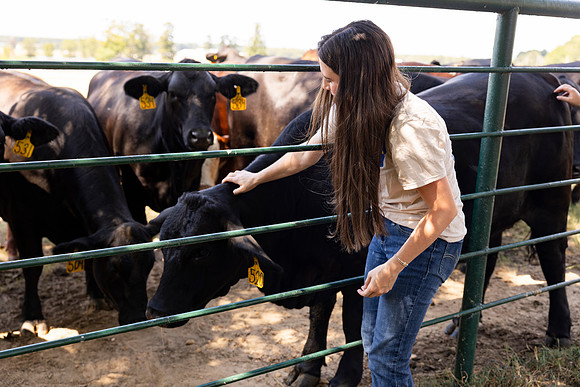 Farm_28