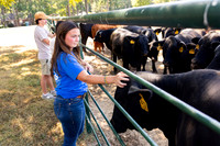 Farm_14