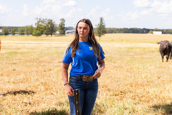 Farm_44