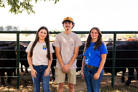Farm_36