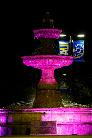 Light for Fight_61