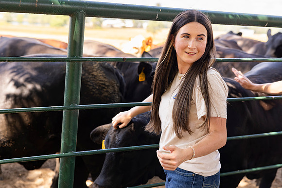 Farm_40