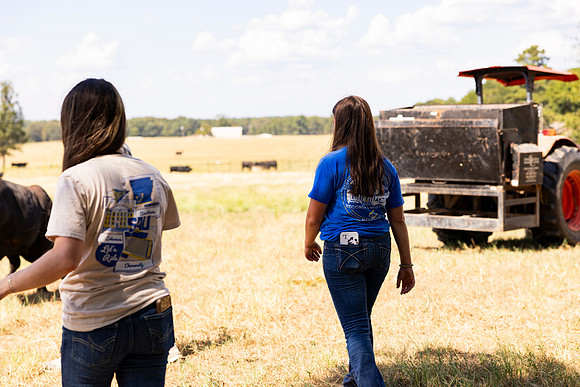 Farm_59
