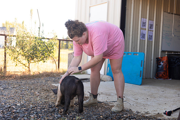 AnimalProduction_28