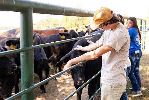 Farm_26