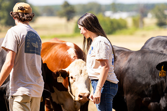 Farm_77