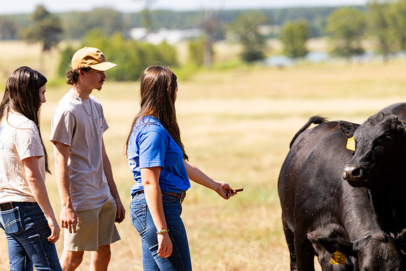 Farm_119