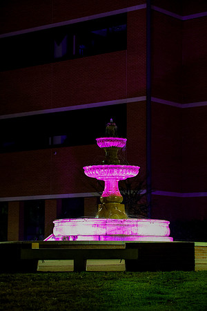 Light for Fight_68