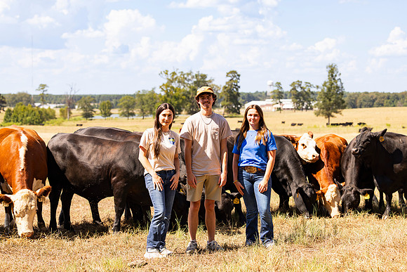 Farm_71