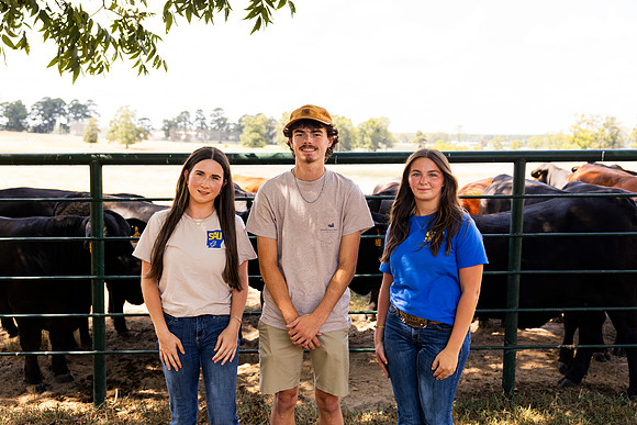 Farm_33