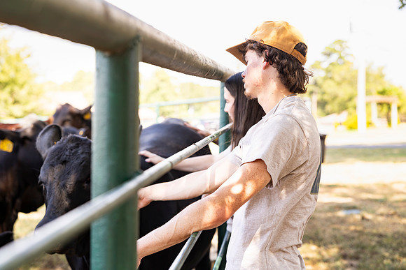 Farm_23