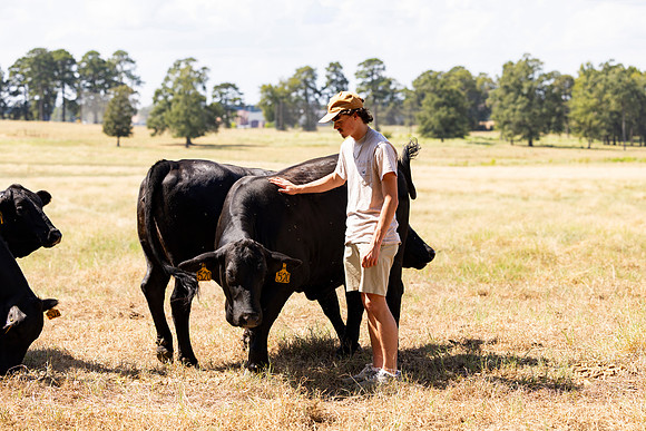 Farm_101