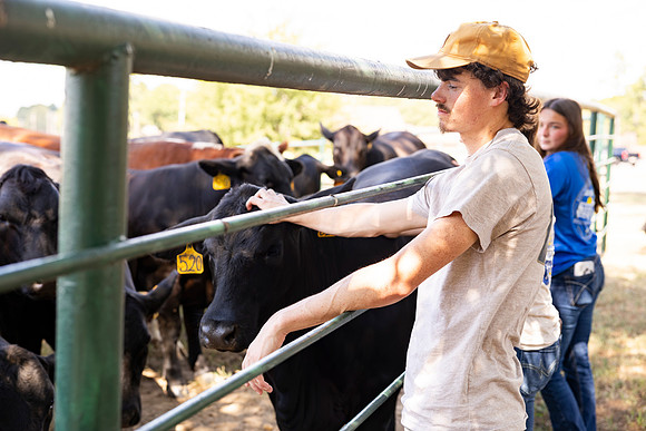 Farm_24
