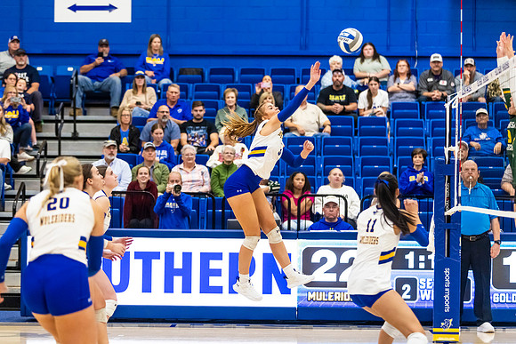 Volleyball_84