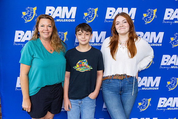 BAM 42