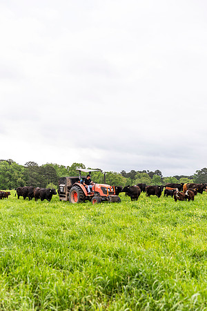 SP25 SAU Farm 11