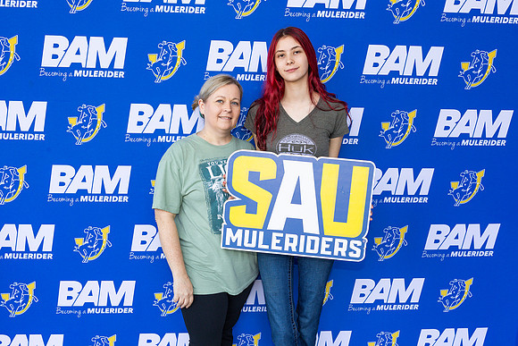BAM 7