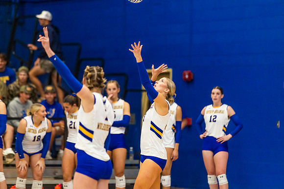 Volleyball_1
