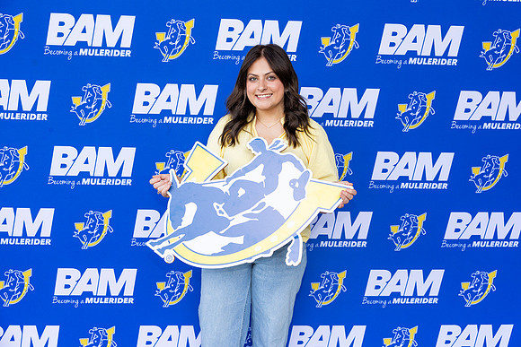 BAM 11