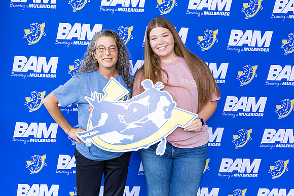 BAM 24
