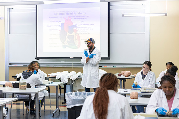 HCOP_Dissection1