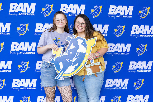 BAM 38