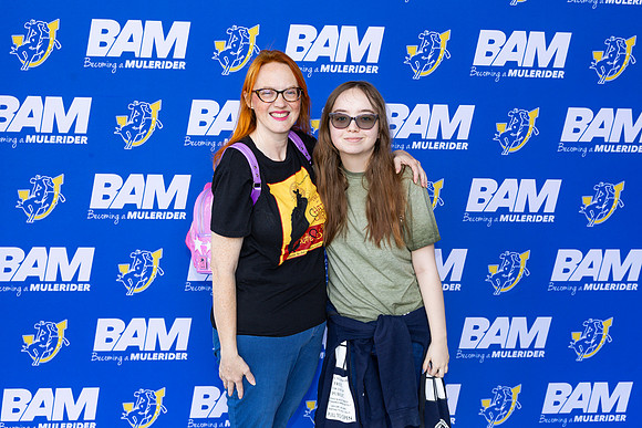 BAM 53