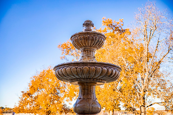 Fall Photos_2