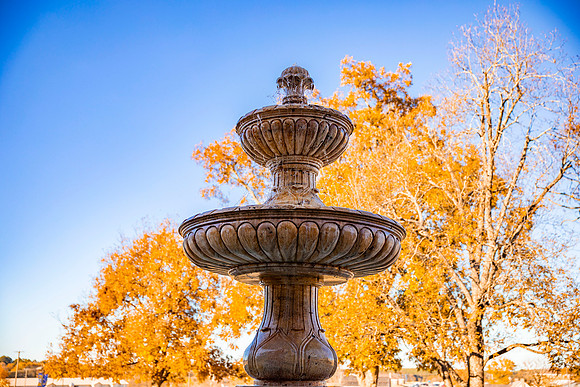 Fall Photos_3
