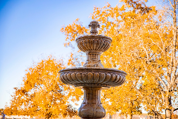 Fall Photos_5