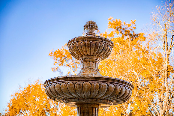 Fall Photos_4