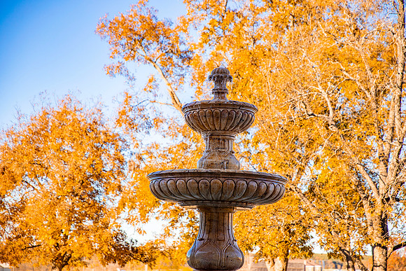 Fall Photos_6