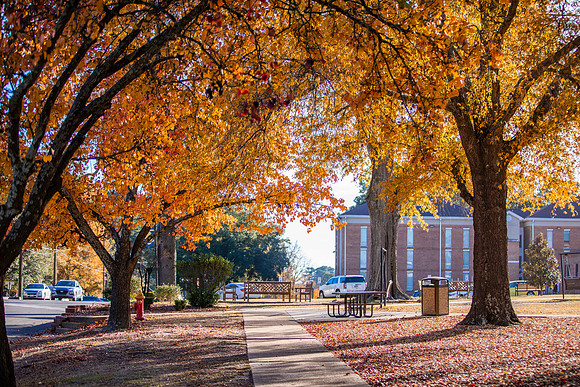 Fall Photos_15