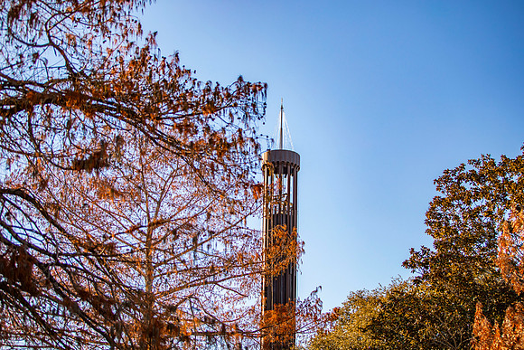 Fall Photos_18