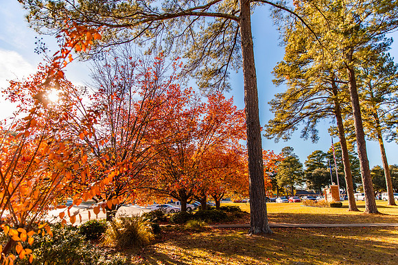 Fall Photos_19