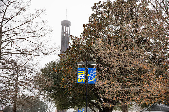 Snowy Campus _21