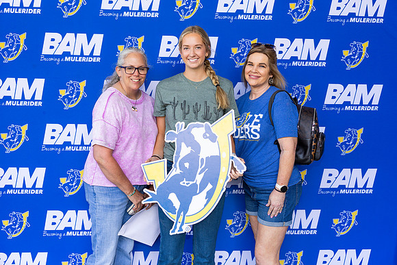 BAM 45