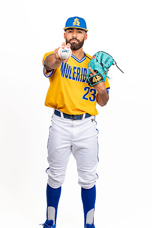 BaseballMedia24_100