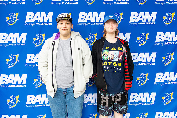 BAM 7.18_2