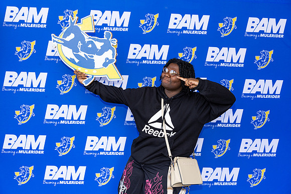 BAM 47
