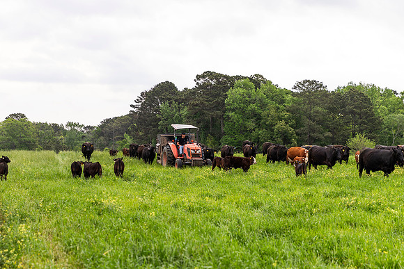 SP25 SAU Farm 9