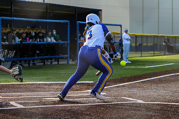 SAU SOFTBALL-100