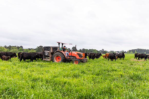 SP25 SAU Farm 13