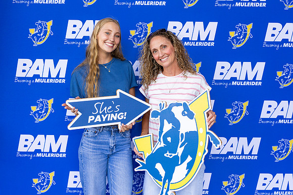 BAM 37