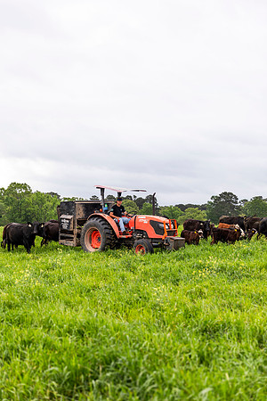 SP25 SAU Farm 12