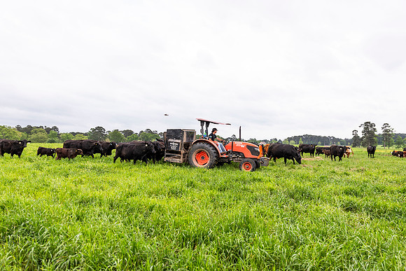 SP25 SAU Farm 14