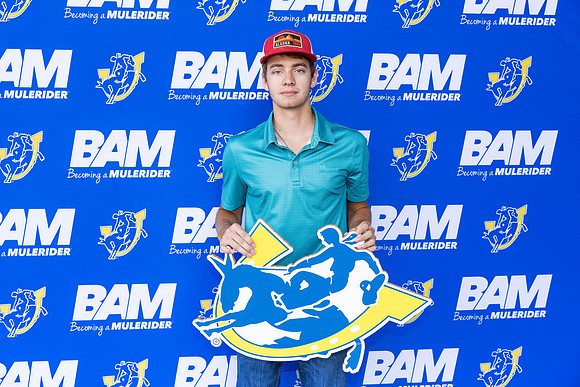 BAM 20