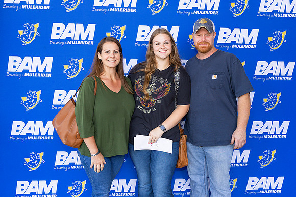 BAM 44