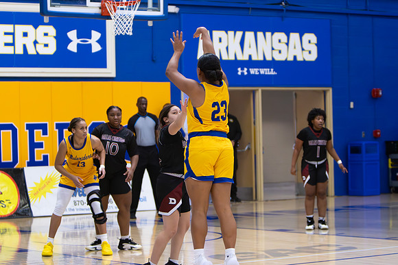 WBB-113