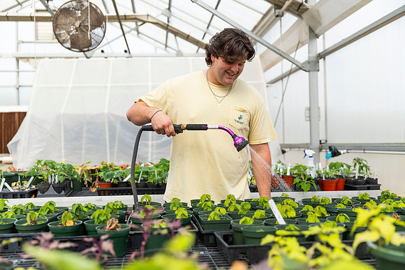 SP25 SAU Greenhouse 27